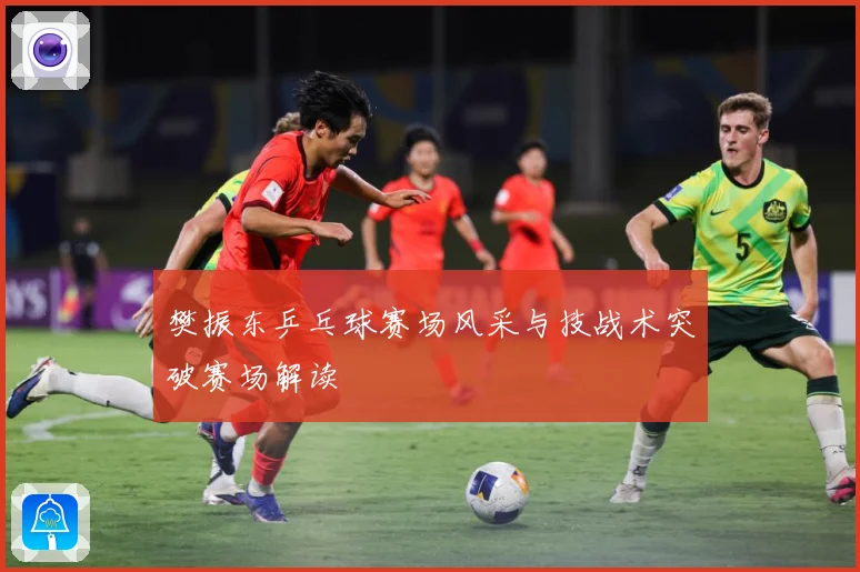 樊振东乒乓球赛场风采与技战术突破赛场解读