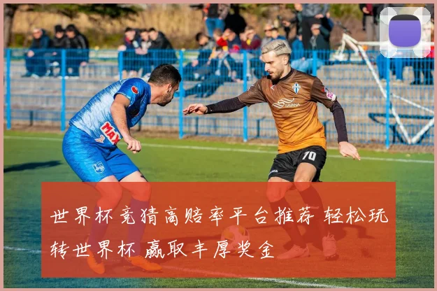 世界杯竞猜高赔率平台推荐 轻松玩转世界杯 赢取丰厚奖金