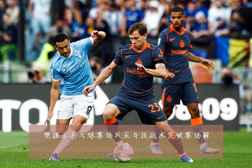 樊振东乒乓球赛场风采与技战术突破赛场解读