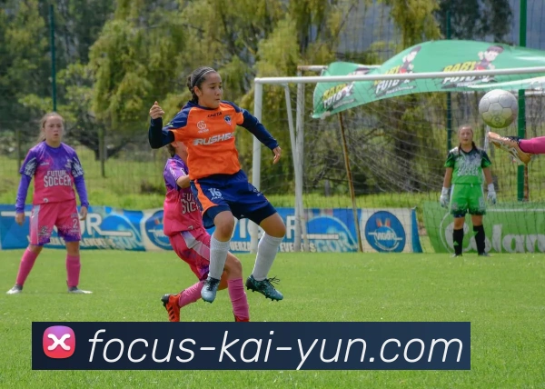 开云官网全站App